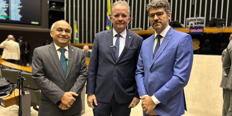 Em Comissão Geral da Câmara para debater a Reforma Administrativa, Instituto Servir Brasil cobra divulgação do texto e instalação de Comissão Especial